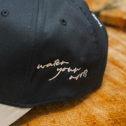 The Water Your Roots Bundle