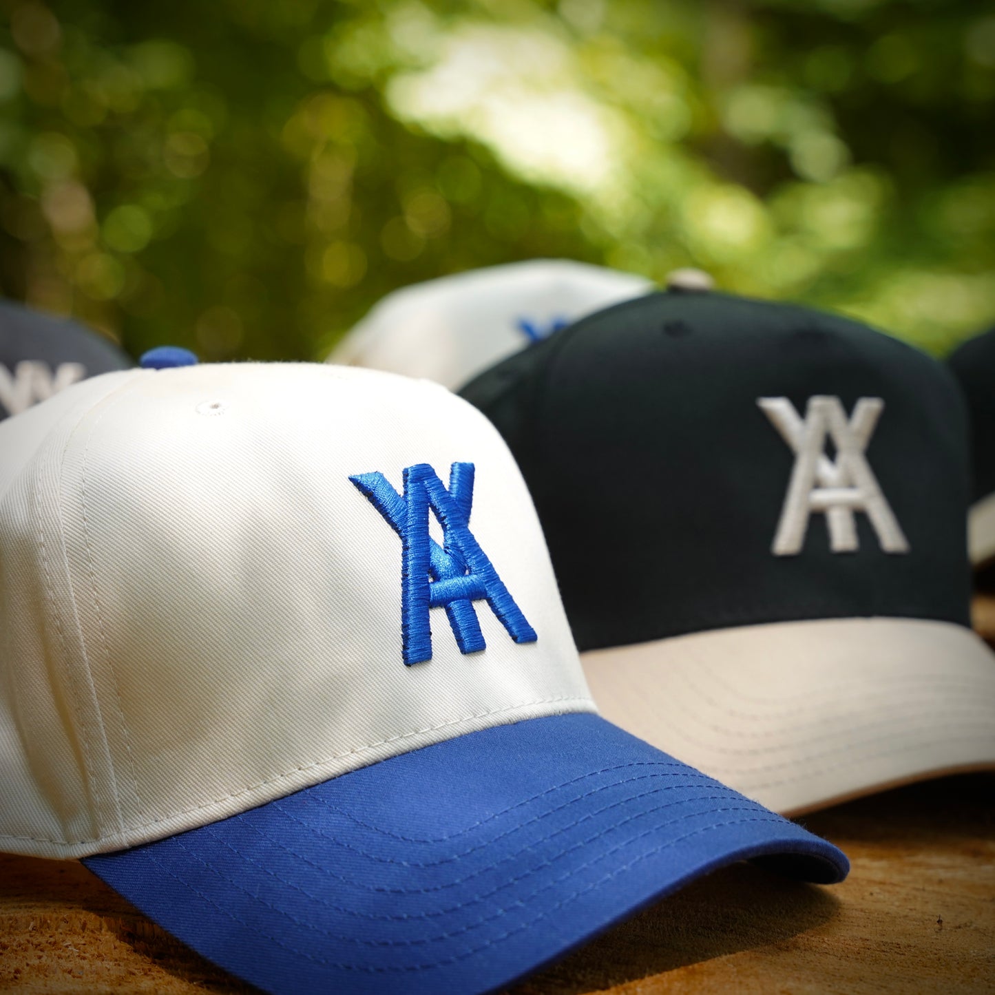 The Water Your Roots Bundle