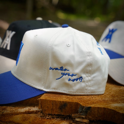 The Water Your Roots Bundle